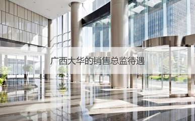 广西大华销售总监岗位解析 职责、待遇与行业聚焦